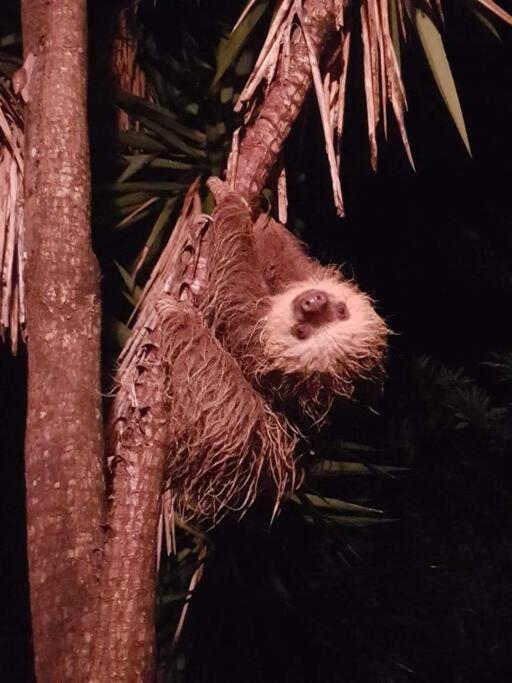 Casa Euphonia Monteverde Kültér fotó