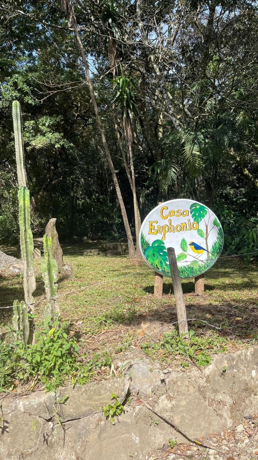 Casa Euphonia Monteverde Kültér fotó